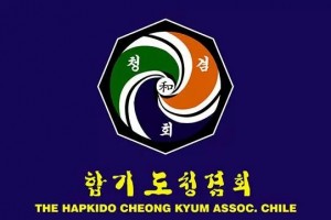 HAPKIDO CHEONG KYUM (Enlace)www.hapkidockachile.com